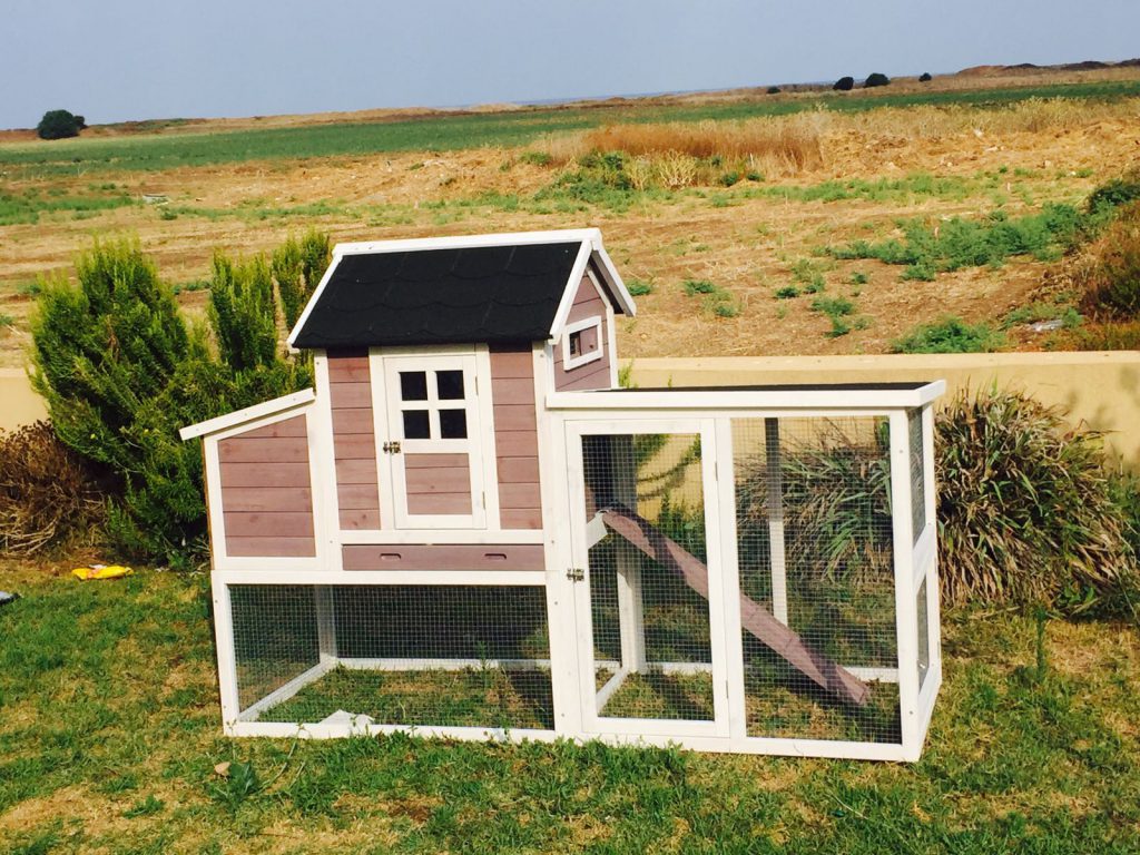 תמונה של לול תרנגולות ביתי