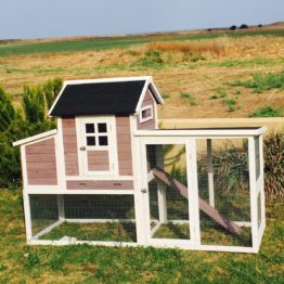 תמונה של לול תרנגולות ביתי